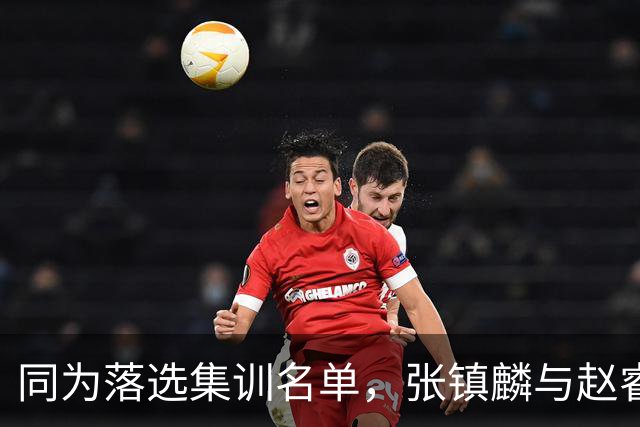 同为落选集训名单，张镇麟与赵睿的境遇差异何在？