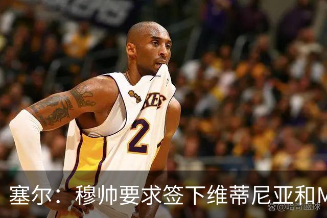 塞尔：穆帅要求签下维蒂尼亚和M费，卡马文加、马斯坦托诺可能走