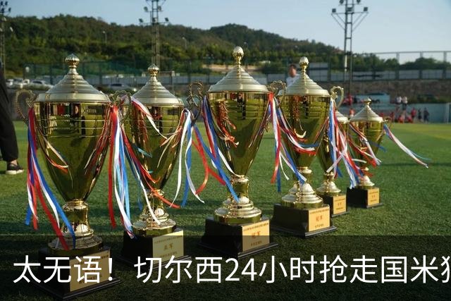 太无语！切尔西24小时抢走国米猎物，马洛塔临门一脚失败输给伯利