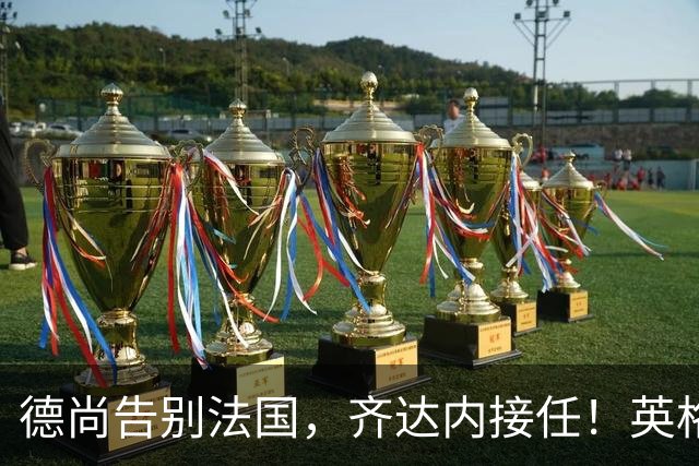 德尚告别法国，齐达内接任！英格兰获季军后，定律倾向阿根廷夺冠