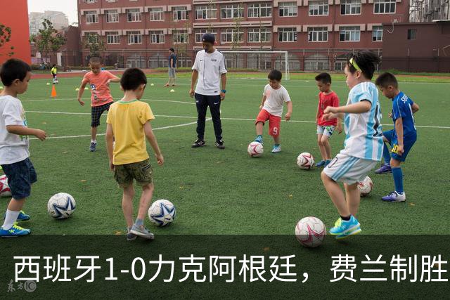 西班牙1-0力克阿根廷，费兰制胜球助斗牛士登顶世界杯